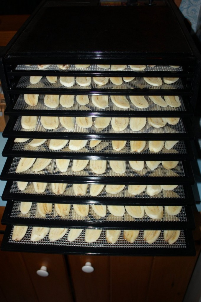 Dehydrator Loaded
