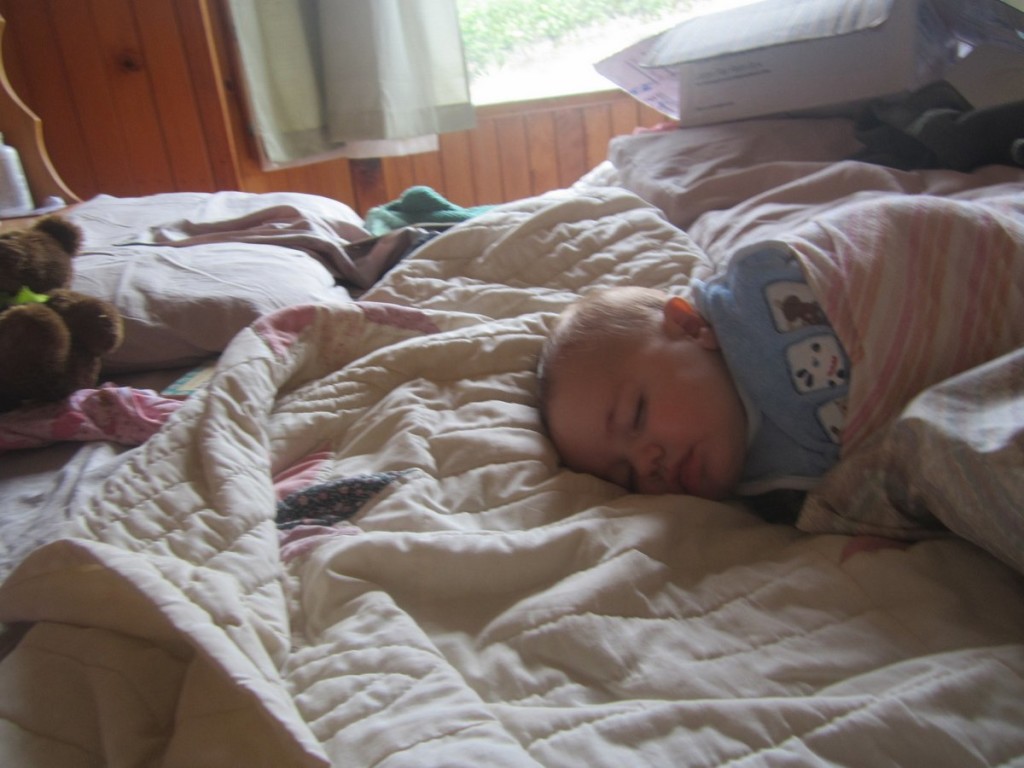 Timothy napping