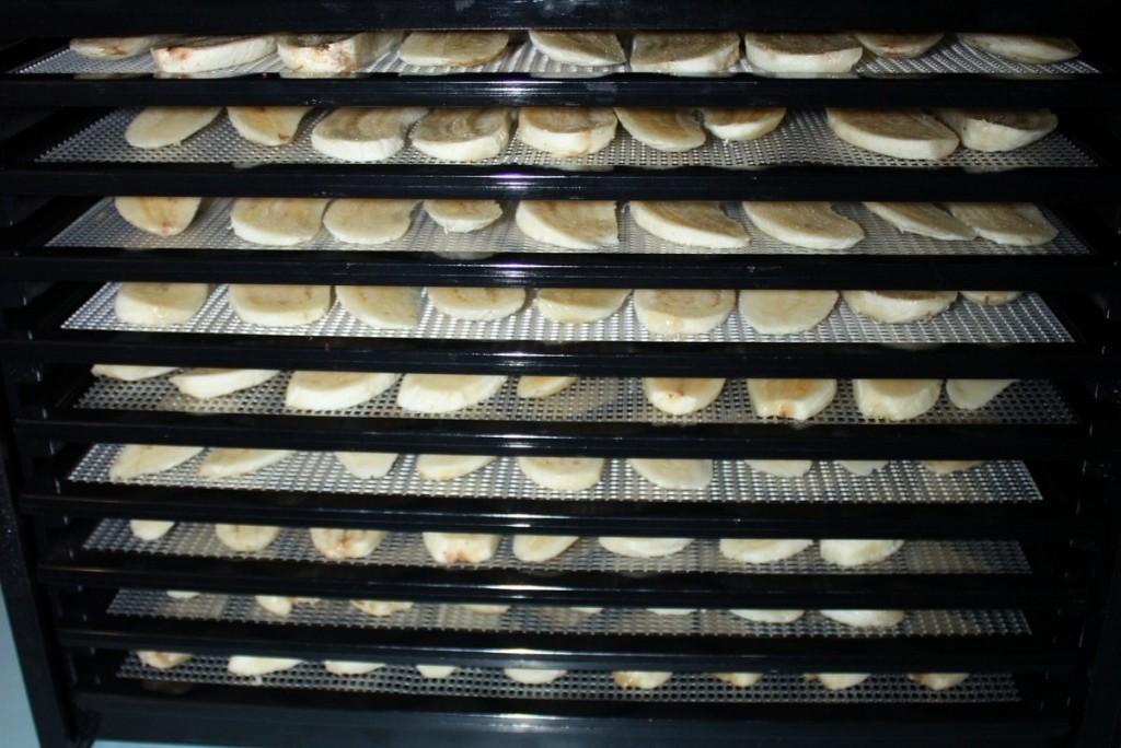 Loading the Dehydrator