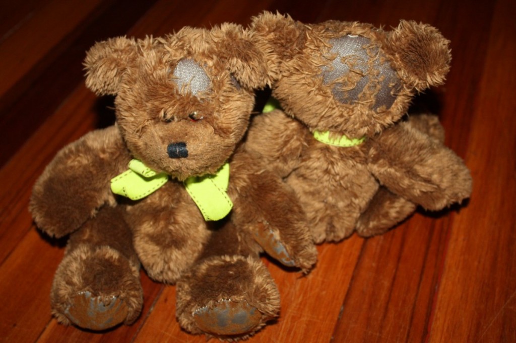Teddy Bears