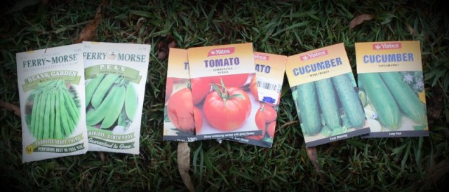 Seeds