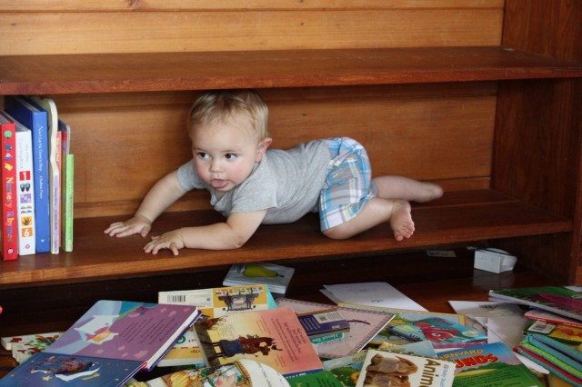 Timothy on the Bookshelf